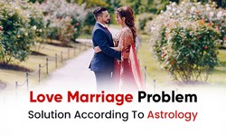 Are you Tired of your love marriage problems?