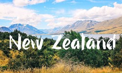 What Documents Do You Need to Prepare Before Applying for a New Zealand Visa if You're from Liechtenstein?