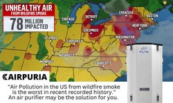 "Clearing the Smoke: Air Purification Solutions for Wildfires and Beyond"