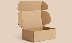 Custom Corrugated Boxes: Tailored Packaging Solutions for Maximum Protection