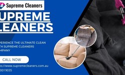 The Benefits of Hiring a Professional Upholstery Cleaner in Turtons Creek