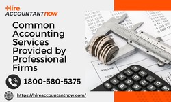 Common Accounting Services Provided by Professional Firms