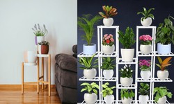 Best Plant Stands for indoors: Beautiful house with gardens
