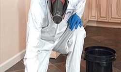 What Are the Benefits of Hiring a Biohazard Clean-Up Company?