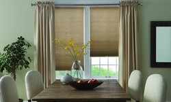 A Comprehensive Guide to Choosing the Right Blinds for Your Home