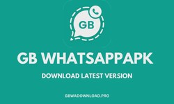 Does GBWhatsApp have a feature to automatically delete media files after a certain period?