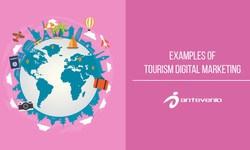 Unlocking Success with Tourism Digital Marketing Services