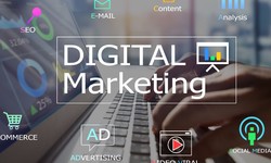Digital Marketing Company in Chandigarh: Elite Web Technologies