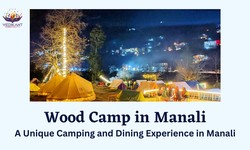 Camp Wood: A Unique Camping and Dining Experience in Manali
