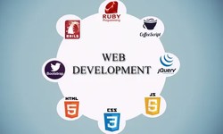 What is Website Development