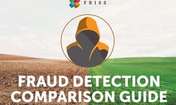 Streamlining Fraud Elimination with FRISS