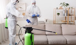 Why You Should Consider Regular Curtain Cleaning for Your Perth Home