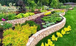 The Ultimate Guide to Landscaping in Mesa