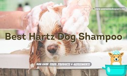 hartz dog shampoo reviews