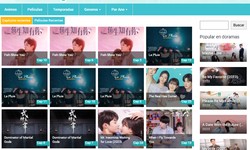How To Watch Korean Dramas With Spanish Subtitles On Doramasmp4