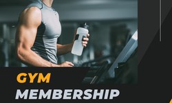 Unleash Your Inner Athlete And Learn the Benefits of Gym Memberships