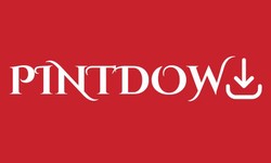 Pinterest Downloader for PC: Downloading Pins Made Easy