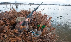 Elevate Your Hunting Adventure: Discover the Benefits of All-Inclusive Duck Hunting Packages