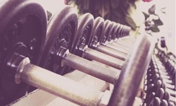 Affordable Exercise Equipment: Breaking Barriers to a Healthier Lifestyle