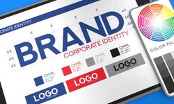 Why Every Brand Needs a Logo Design Professional Service