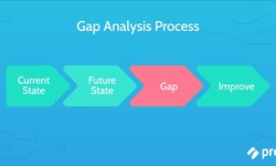 Streamlining Business Processes: Achieving Organizational Fit Through Effective Gap Analysis