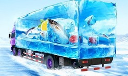 The significance of cold chain logistics