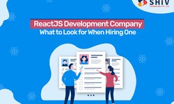 ReactJS Development Company: What to Look for When Hiring One