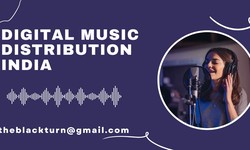 Attractive Digital Music Distribution India