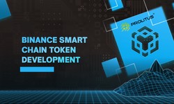 Boosting Your Blockchain Project: Binance Smart Chain Development Services