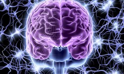 Brain Health and Cognitive Enhancement: Unleashing the Power of Your Mind