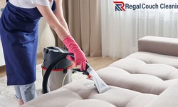 The Importance of Professional Couch Cleaning Services