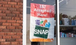 Food Stamps in NYC: Nourishing Lives and Ensuring Equality