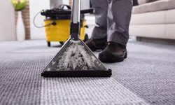 Carpet Steam Cleaning Calgary: The Ultimate Guide to Expert Carpet Care