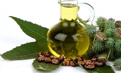 What Is the Saponification of Castor Oil and the IE Process?
