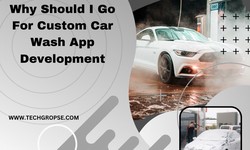 Why Should I Go For Custom Car Wash App Development