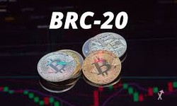 Introduction to BRC-20 Token Development for Newbies!