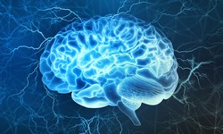 Neurological Health and Cognitive Function: Unlocking the Secrets to Optimal Brain Power