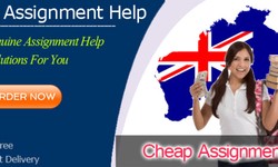 Get Cheap Assignment Help at Affordable Prices