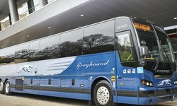 Discover the Ease and Convenience of the Greyhound Bus Tracker