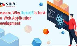 Reasons Why ReactJS is best for Web Application Development.