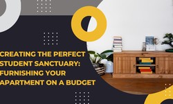 Creating the Perfect Student Sanctuary: Furnishing Your Apartment on a Budget