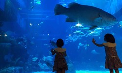 Jakarta Aquarium & Safari: Exploring the Wonders of the Underwater and Wildlife Realms