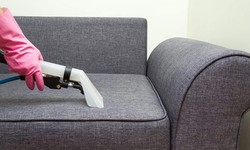 Revitalize Your Living Space: Professional Couch Cleaning Services in Brisbane