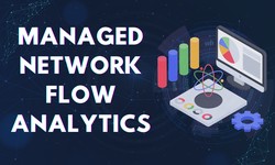 Network Flow Analytics Service in India | Senselearner