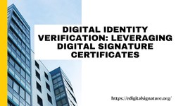 Digital Identity Verification: Leveraging Digital Signature Certificates