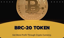 Dynamic Source Of Income With BRC20 Token Development