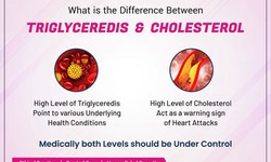 Impacts Of Good Cholesterol On Heart Health By cardiac hospital in Tirunelveli