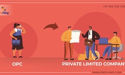 A Complete Guide on Conversion of OPC to Private Limited Company