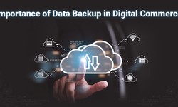 Data Backup in Digital Commerce: Its Importance