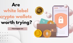 The Clock is Ticking! Develop Your Crypto Wallets Fast With White-Label Solution